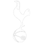Tottenham Hotspur