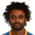 Junior Brown