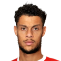Rudy Gestede