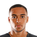 Max Lowe