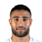 N. Fekir