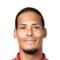V. van Dijk