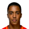 Y. Tielemans