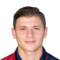 N. Barella