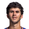 Aleñá