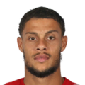 Rudy Gestede