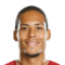 V. van Dijk