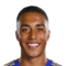 Y. Tielemans