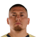 Nicolás Castillo