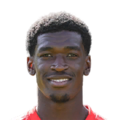 Kwasi Wriedt