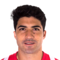 Nicolás Ibáñez