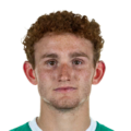 Josh Sargent