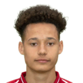 Rhys Williams