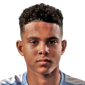 Raphael Borges Rodrigues