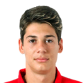 Valentin Borcea