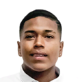 Luis Flores