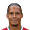 V. van Dijk