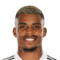 M. Lemina