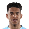 Raphael Borges Rodrigues