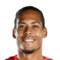 V. van Dijk