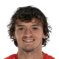 Gui Guedes