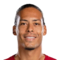 V. van Dijk