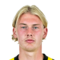 J. Brandt