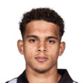 Raphael Borges Rodrigues