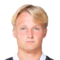 K. Dolberg