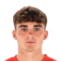 Joel Roca