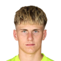 Harald Postl