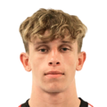 Tom King