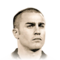 F. Cannavaro