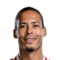 V. van Dijk