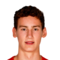 R. van Bommel