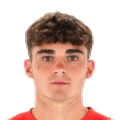 Joel Roca