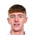 Daire Patton