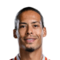 V. van Dijk
