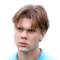 N. Pyyhtiä
