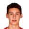 R. van Bommel