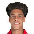 A. Witsel