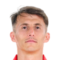 A. Budimir