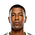 M. Araujo
