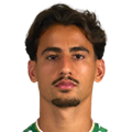 D. Arzani