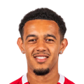 D. Pereira
