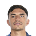 V. Pizarro