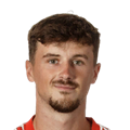 C. Wellens