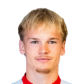 M. Braunöder