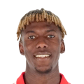 D. Camara