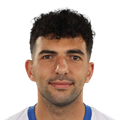 N. Grigoryan